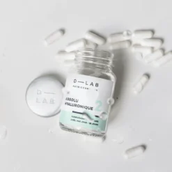 Absolu Hyaluronique Réhydratation