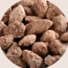 Amandes Caramélisées Bio