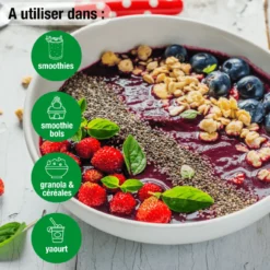 Aronia vegan poudre Bio