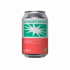 Boisson Pétillante Ginger Beer Bio