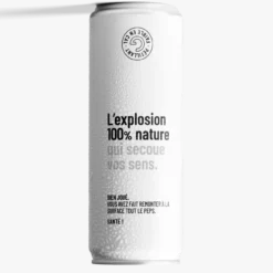Boissons Pétillantes Gingembre Pack Bio