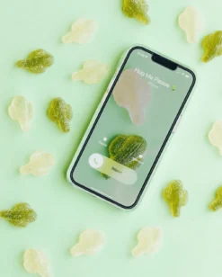 Bonbon Melon Pomme Vegan Bio