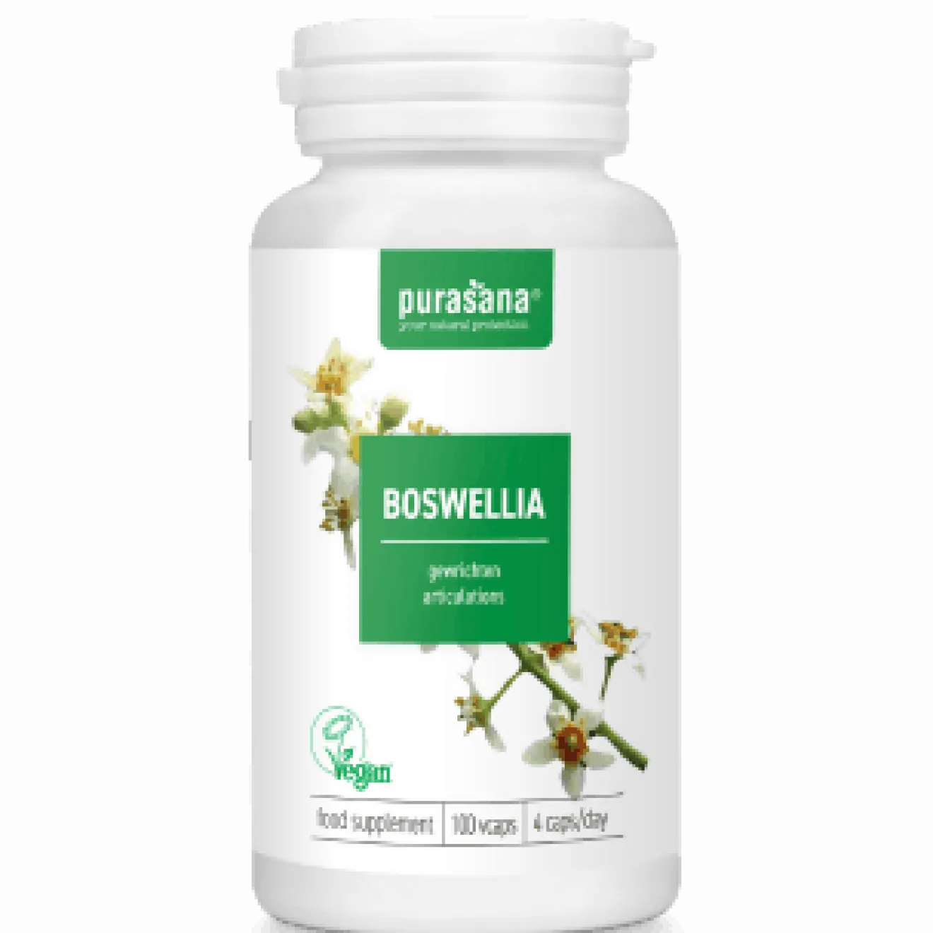 Boswellia extract vegan