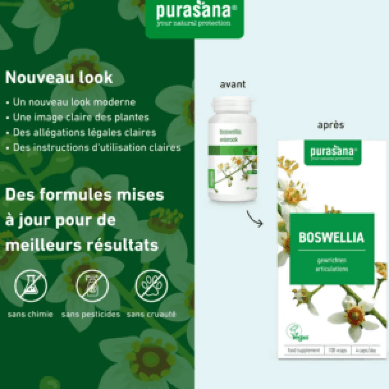 Boswellia extract vegan