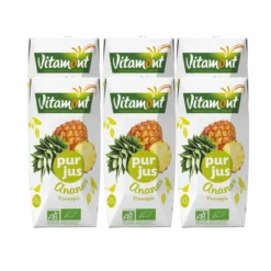 Briquettes Jus Ananas Bio