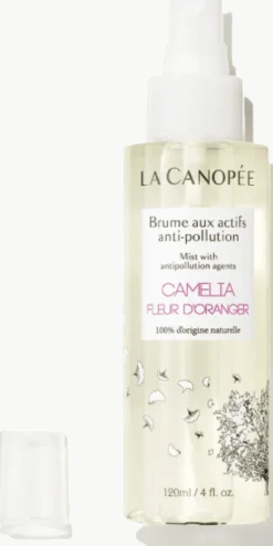 Brume Actifs Anti-Pollution