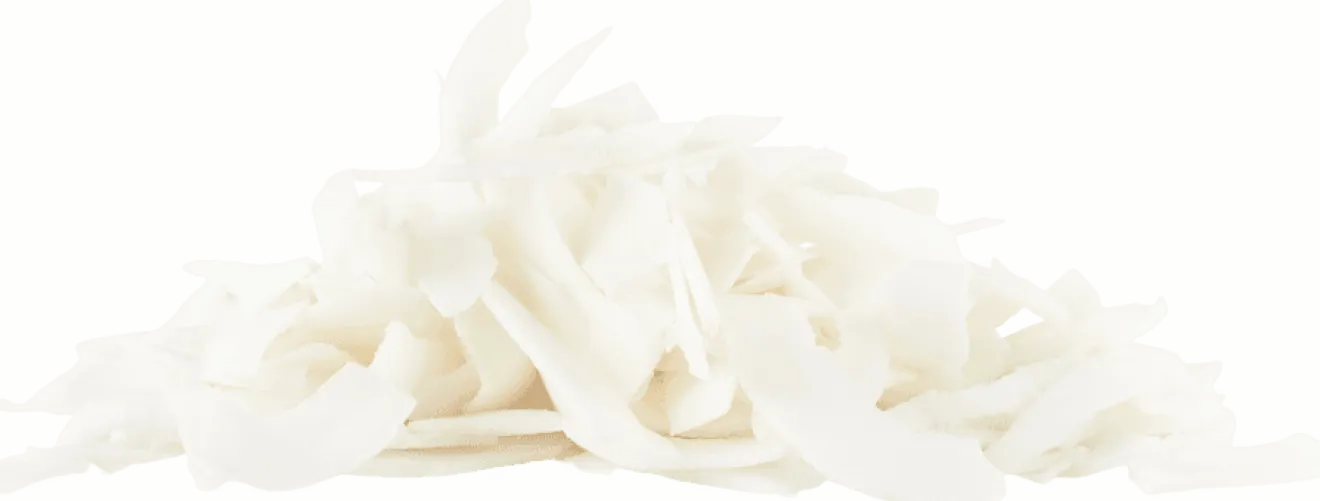Chips de Coco en vrac Bio