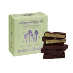 Chocolat Pistache & Lion's Mane Bio