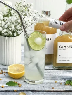 Concentré Gingembre Bio