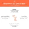 Concentré Gingembre Bio