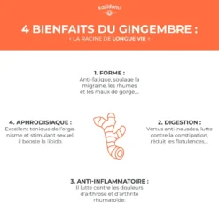 Concentré Gingembre Bio