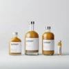 Concentré Gingembre Bio