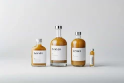 Concentré Gingembre Bio