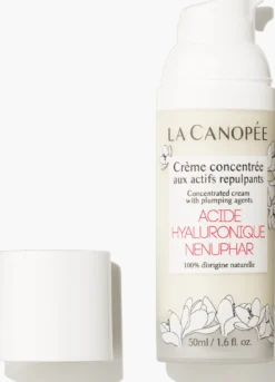 Crème Concentrée Actifs Repulpants Acide Hyaluronique