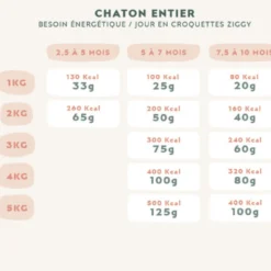 Croquettes Poulet Huile de Saumon Sans Céréales Chaton