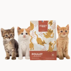 Croquettes Poulet Huile de Saumon Sans Céréales Chaton
