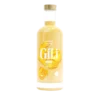 Elixir Gingembre Citron Zinc Bio