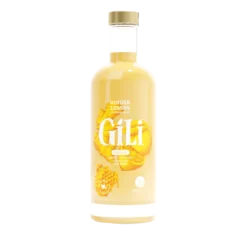 Elixir Gingembre Citron Zinc Bio