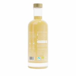 Elixir Gingembre Citron Zinc Bio