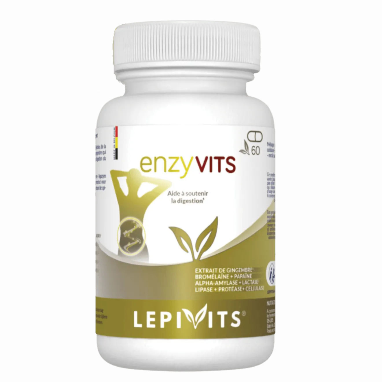 Enzyvits (digestion)