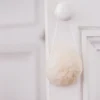 Eponge Konjac