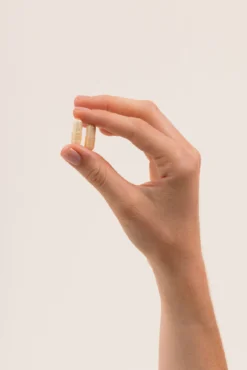 Essentiel Maternité - Cure 30 Jours
