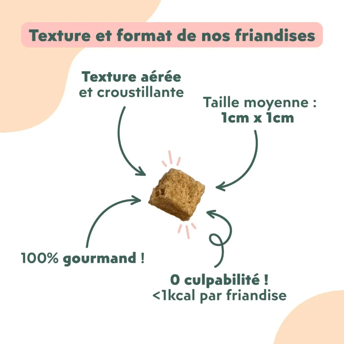 Friandises Chat Happy Saumon Coco