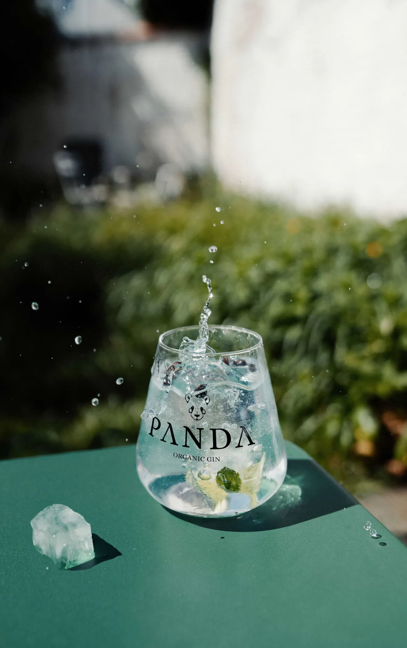 Gin Panda Bio