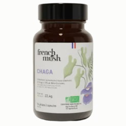 Gélules d'Extrait de Chaga — Champignon Adaptogène Bio