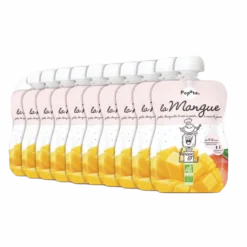 Gourde Mangue dès 6 mois Bio