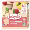 Gourdes Pomme Framboise + 6 mois Bio