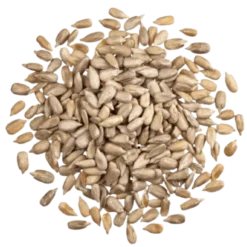 Graines de Tournesol en Vrac Bio