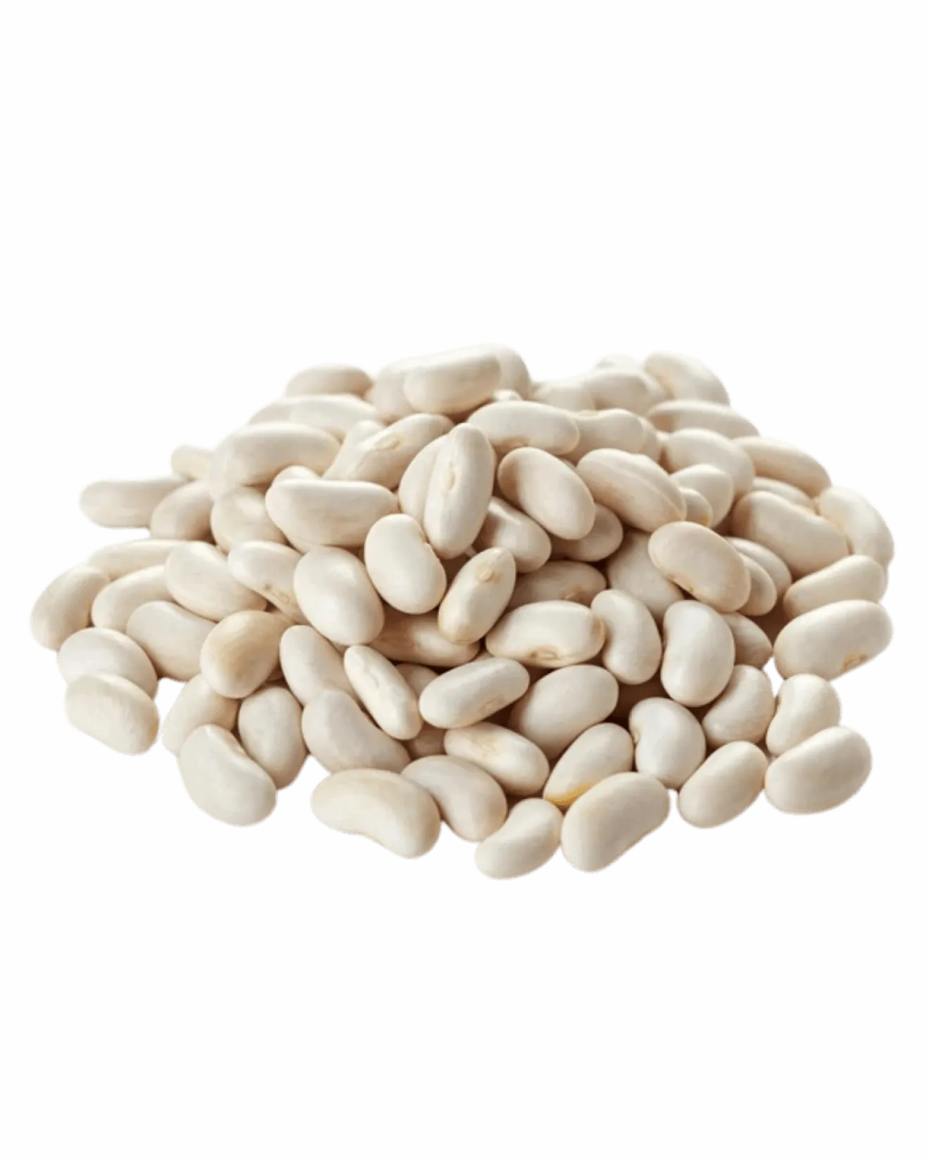 Haricots blancs en vrac Bio
