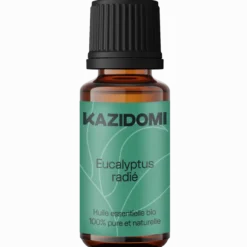 Huile essentielle Eucalyptus Radié (voies respiratoires) Bio