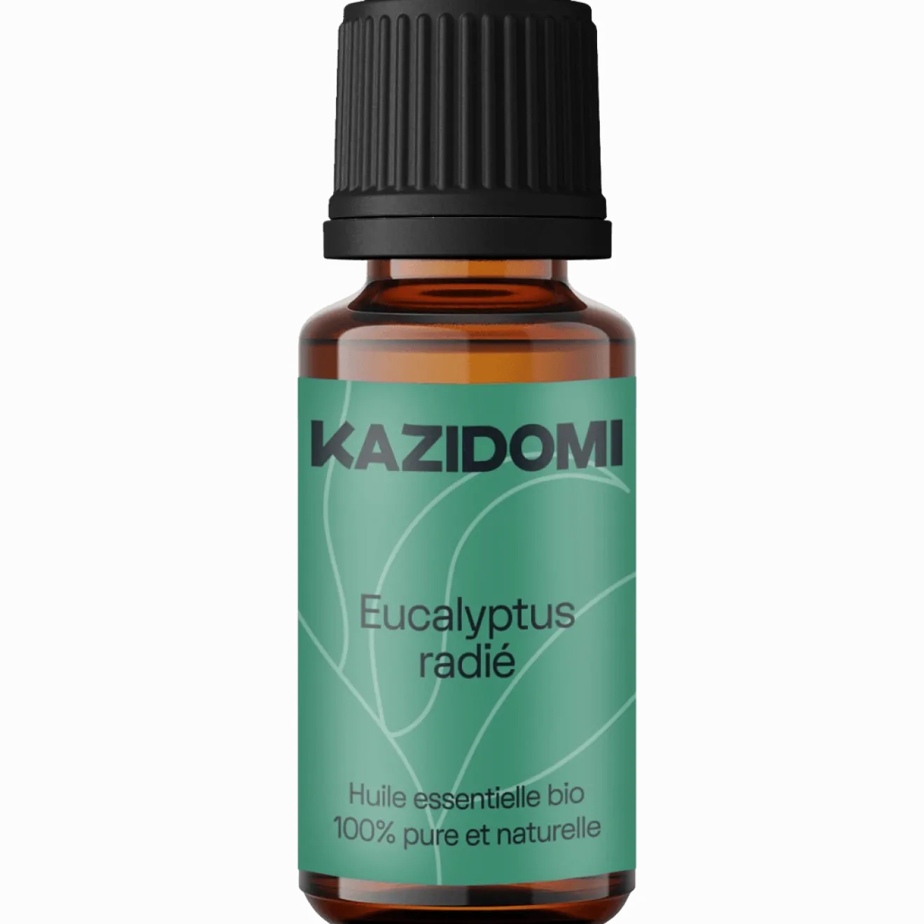Huile essentielle Eucalyptus Radié (voies respiratoires) Bio