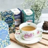 Infusion Grand Calme 17 sachets Bio