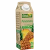 Jus Ananas Bio