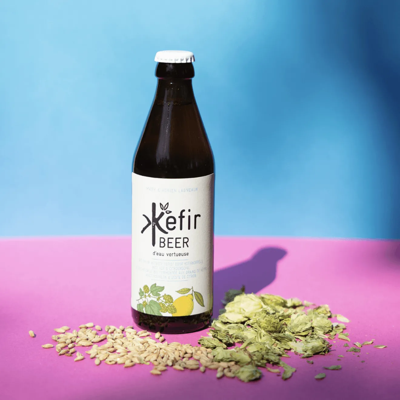 Kefir Beer Bio