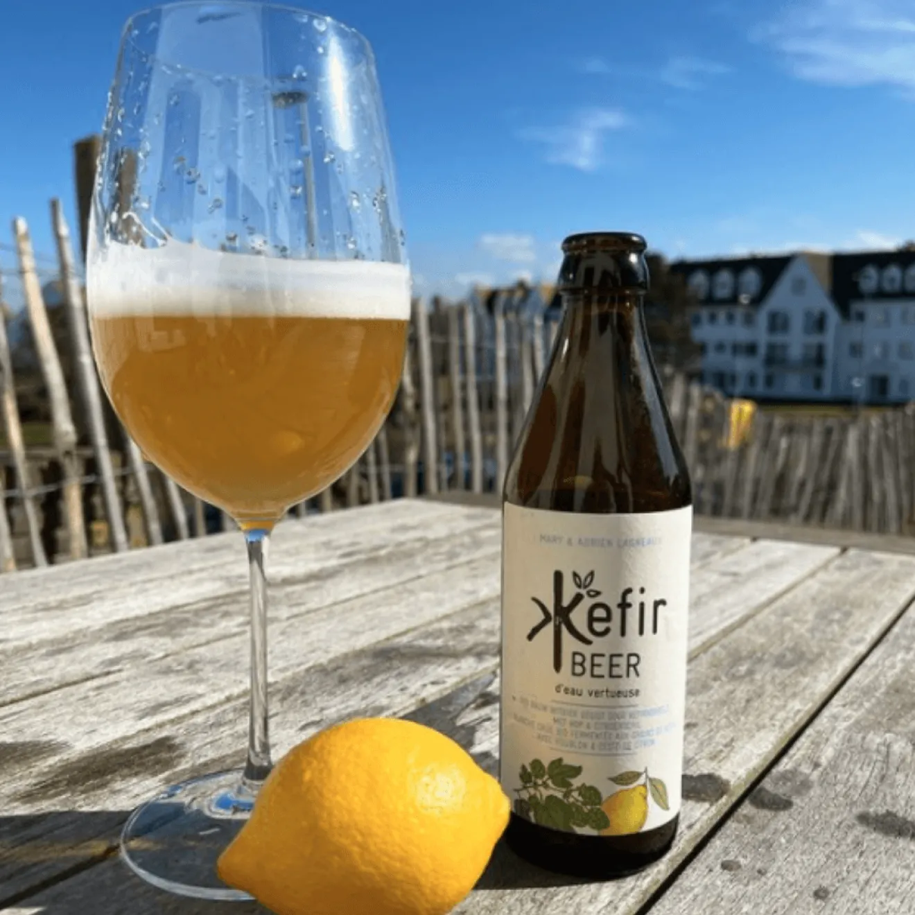 Kefir Beer Bio