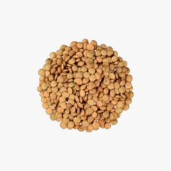 Lentilles Brunes en vrac Bio