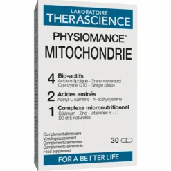 Mitochondrie