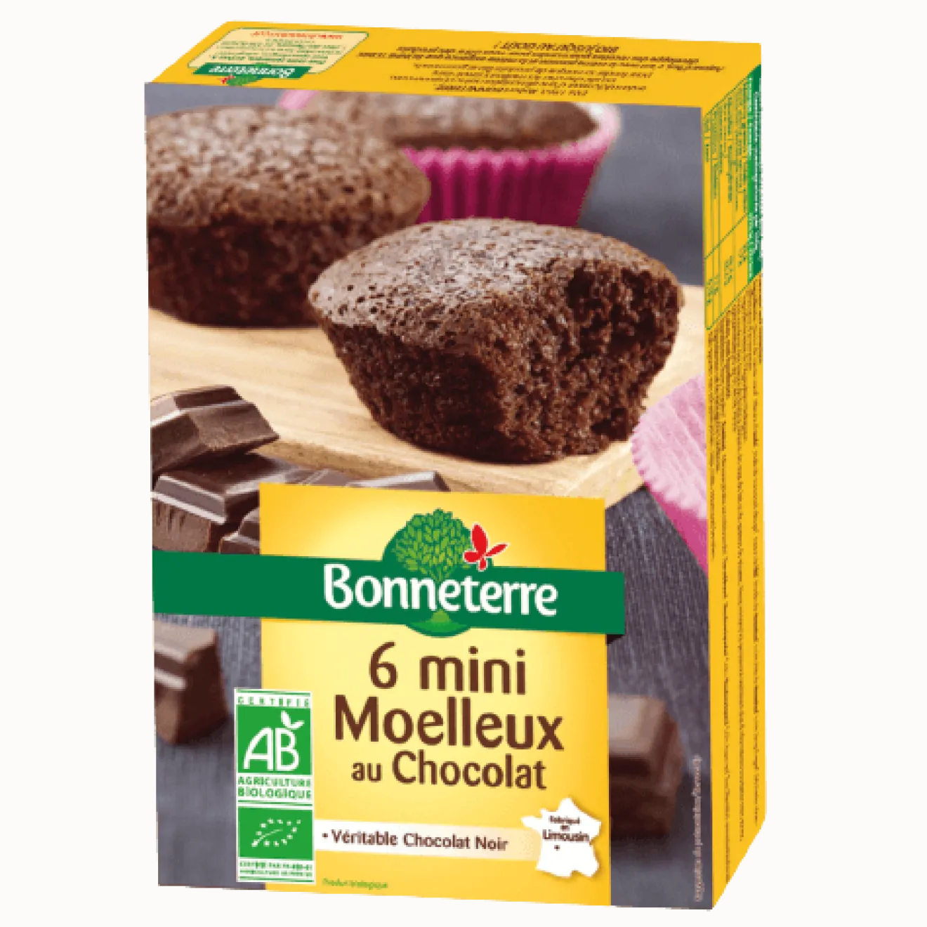 Moelleux Chocolat Noir Minis Bio