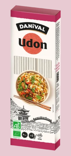 Nouille Udon Bio