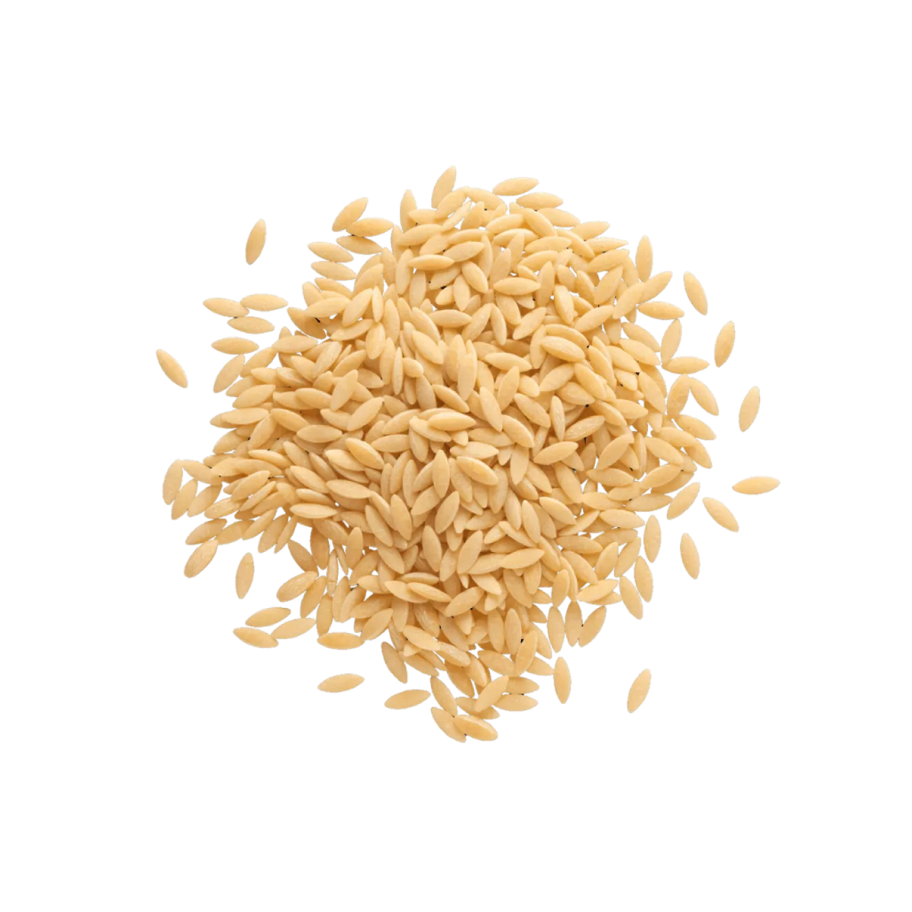 Orzo de Blé en vrac Bio