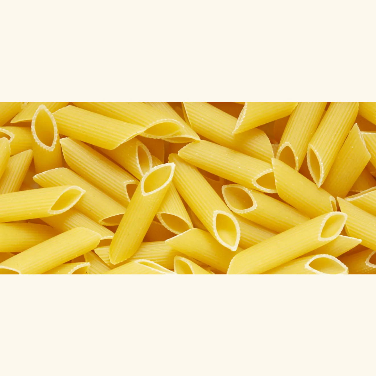 Penne Blé Dur Bio