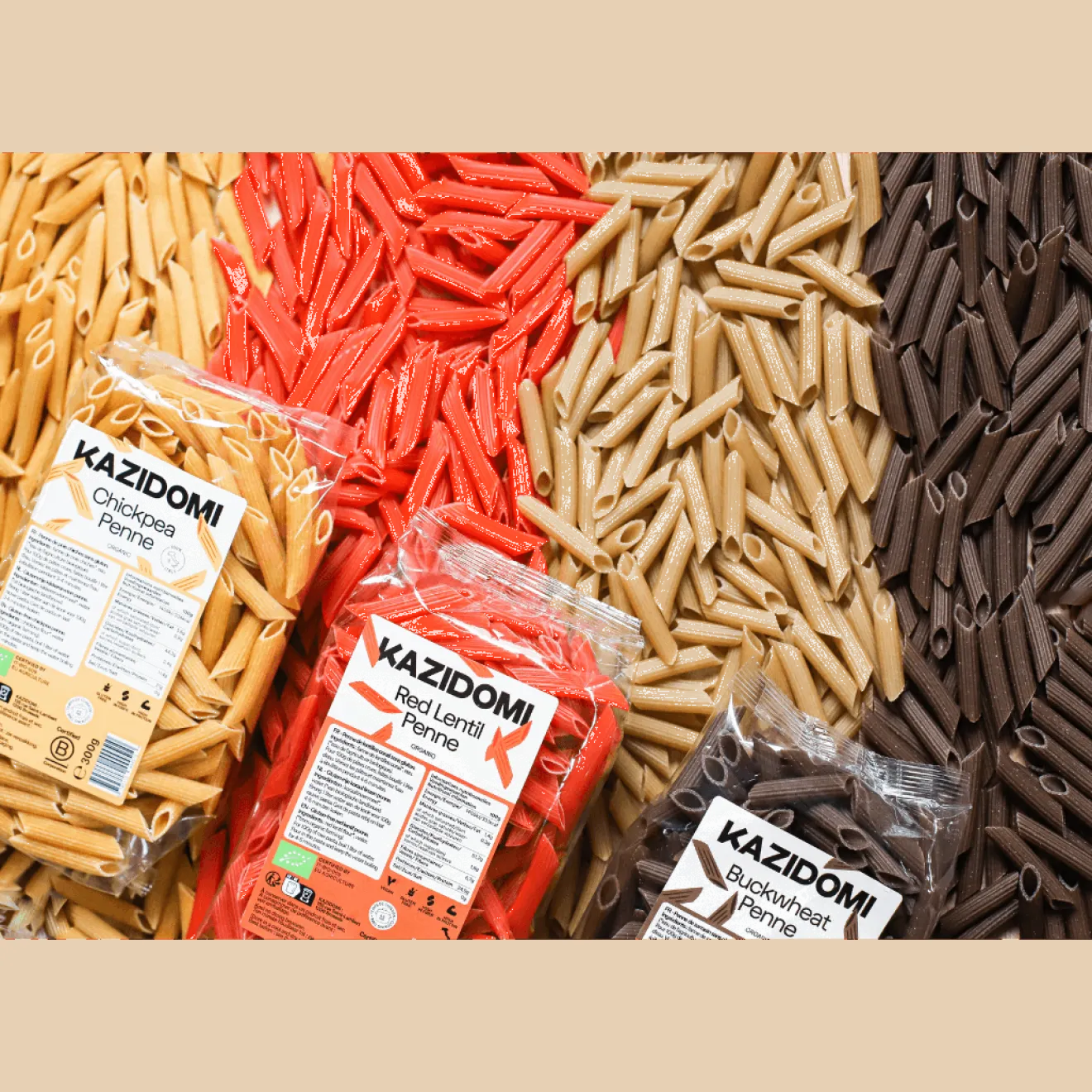 Penne Sarrasin Sans Gluten Bio
