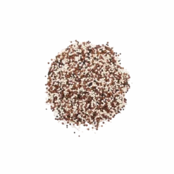 Quinoa tricolore en vrac Bio