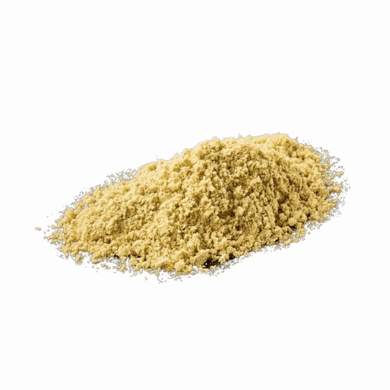 Recharge Gingembre Moulu Bio