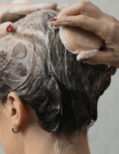 Shampoing Solide Cheveux Secs Bio