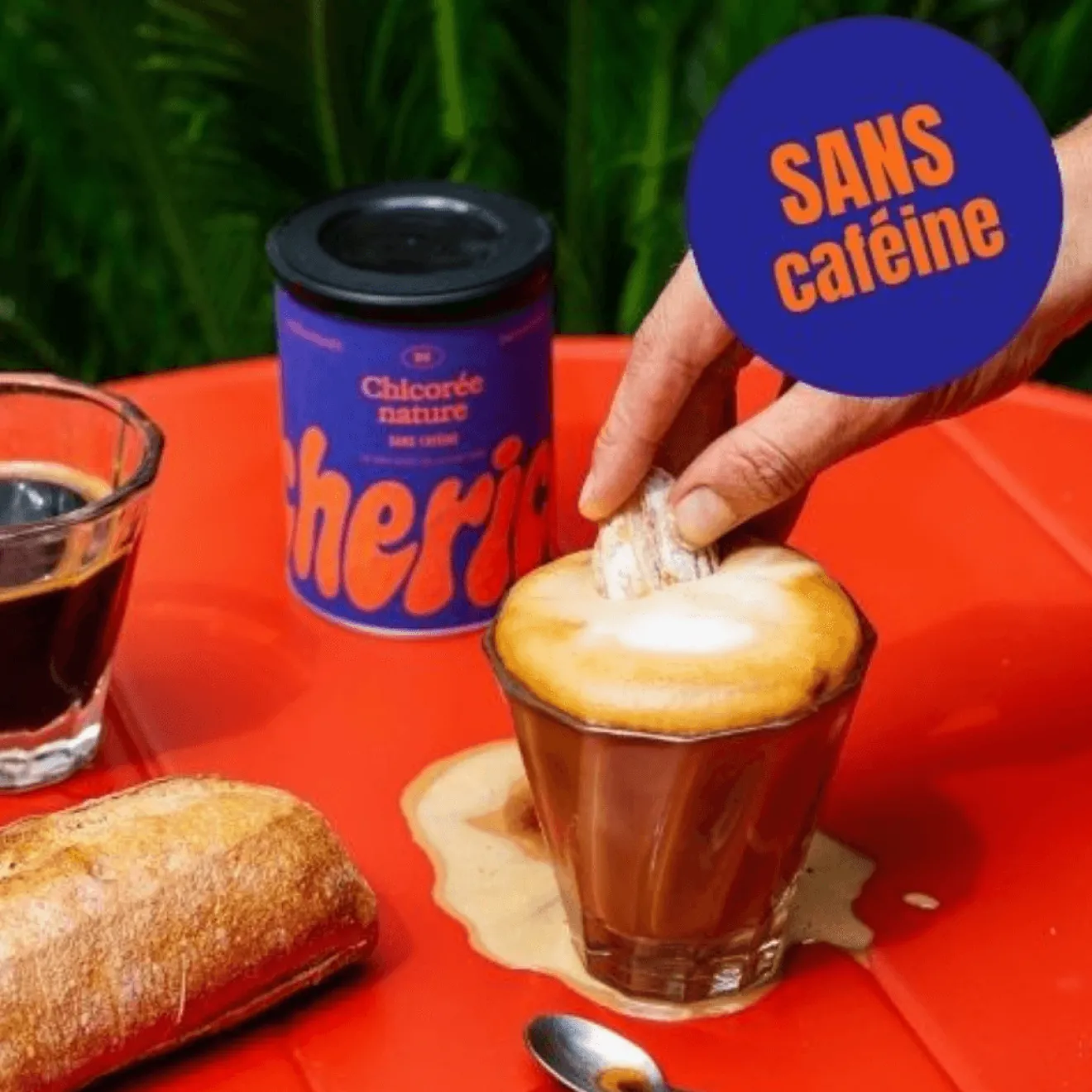 Substitut Café Chicorée Nature Instantané Bio